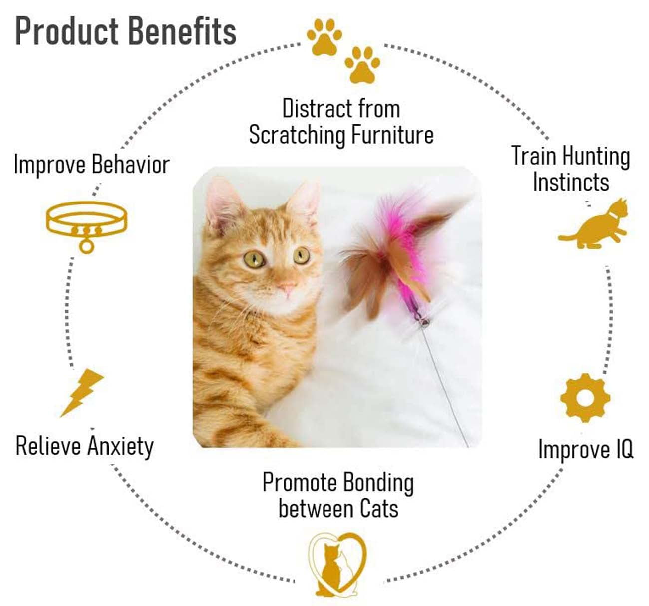 The Benefits of Interactive Toys for Cats--Petwant