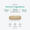 thumbnail image 4 of Vitanica GABA Ease, Calming Support, Vegan, 60 Capsules, 4 of 7