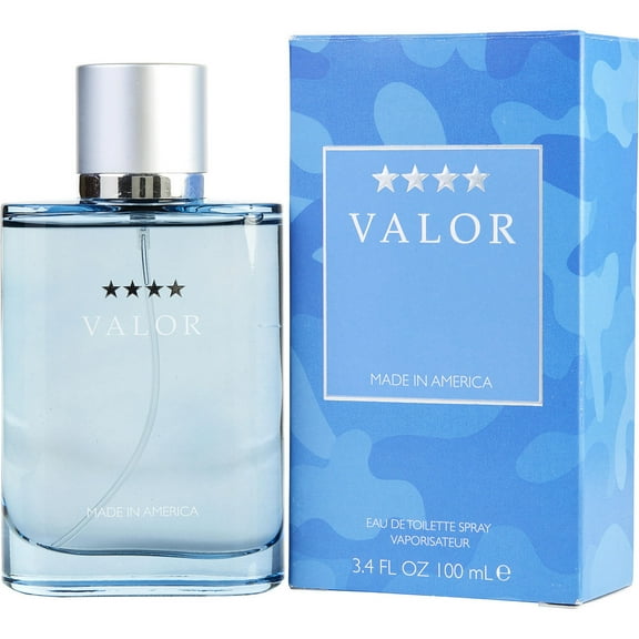 VALOR by Dana Dana EDT SPRAY 3.4 OZ MEN