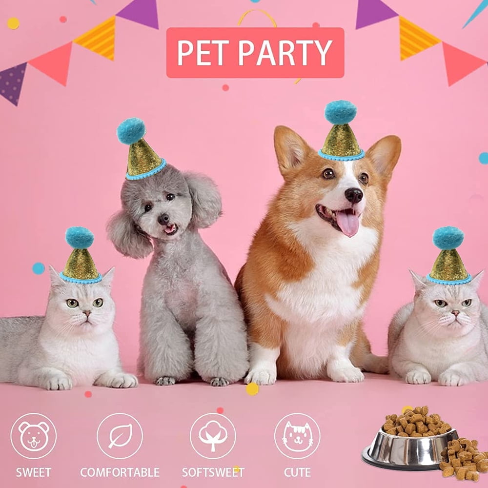 3 Packs Mini Birthday Hat for Small Dogs Cat Party Hats Pet Birthday Grooming Headband Accessoriesstyle2 Walmart