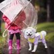 thumbnail image 1 of unbranded Hooded Dog Raincoat Waterproof Breathable Full Coverage Jacket for Pet Outdoor Protection, 1 of 5