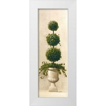 Welby 11x24 White Modern Wood Framed Museum Art Print Titled - Roman Topiary II