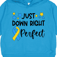 thumbnail image 3 of Inktastic Just Down Right Perfect Down Syndrome Awareness Ribbon Toddler Hoodie, 3 of 4
