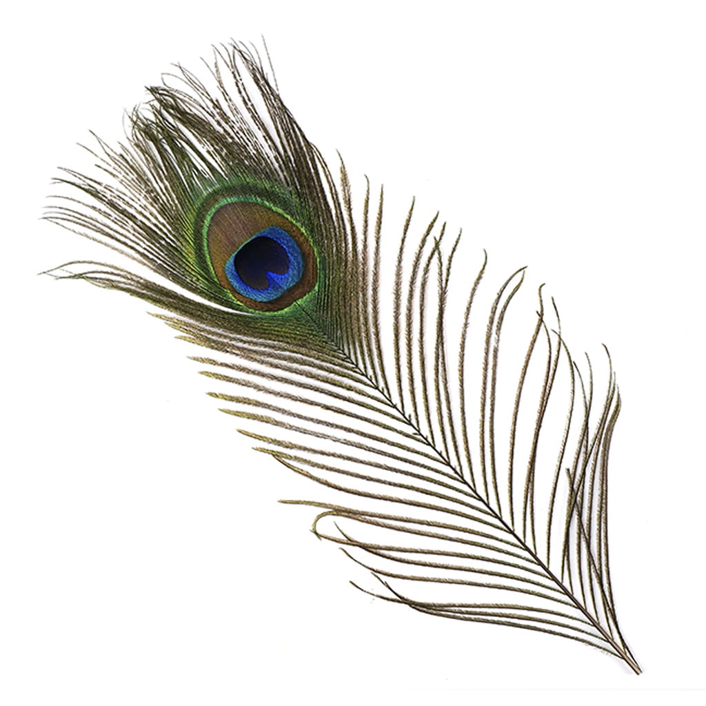 Artificial Feathers, L: 15 cm, W: 8 cm, White, 10 pc, 1 Pack