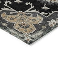 thumbnail image 3 of Addison Rugs Chantille Indoor/Outdoor Traditional Global Black Machine Washable Rectangle Rug, 9' x 12', 3 of 8