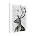 thumbnail image 2 of Trademark Fine Art 'Deer Portrait 2' Canvas Art by Fab Funky, 2 of 3