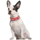 thumbnail image 5 of Collar para Perro con Pedrería, Collar de Cuero Sintético, Tamaño Ajustable, Mediano JM, 5 of 5