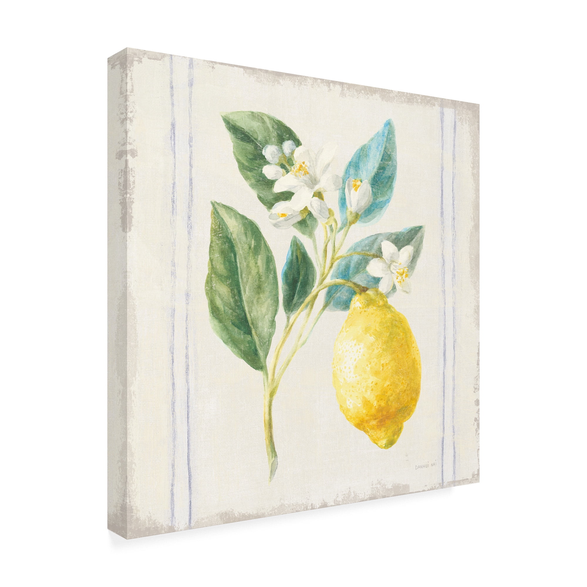 Trademark Fine Art 'Flour sack Lemons I Sq Navy' Canvas Art by Danhui Nai