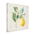 thumbnail image 2 of Trademark Fine Art 'Flour sack Lemons I Sq Navy' Canvas Art by Danhui Nai, 2 of 3