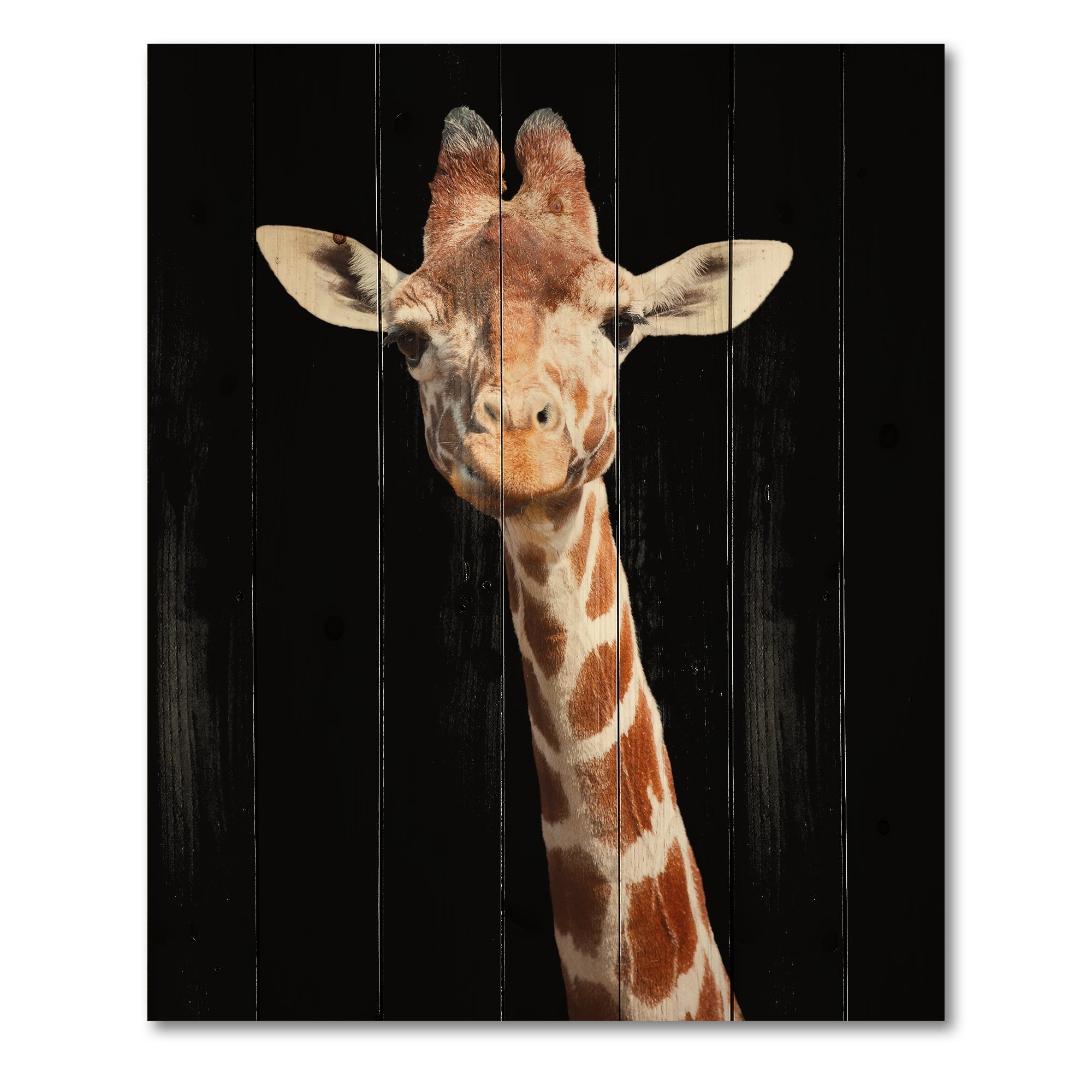 Designart 'Close Up Portrait Of A Giraffe On Black V' Farmhouse Print on Natural Pine Wood