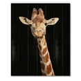 thumbnail image 3 of Designart 'Close Up Portrait Of A Giraffe On Black V' Farmhouse Print on Natural Pine Wood, 3 of 5