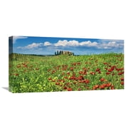Global Gallery Frank Krahmer,Farm house with cypresses and poppies, Tuscany, Italy Stretched Canvas Artwork