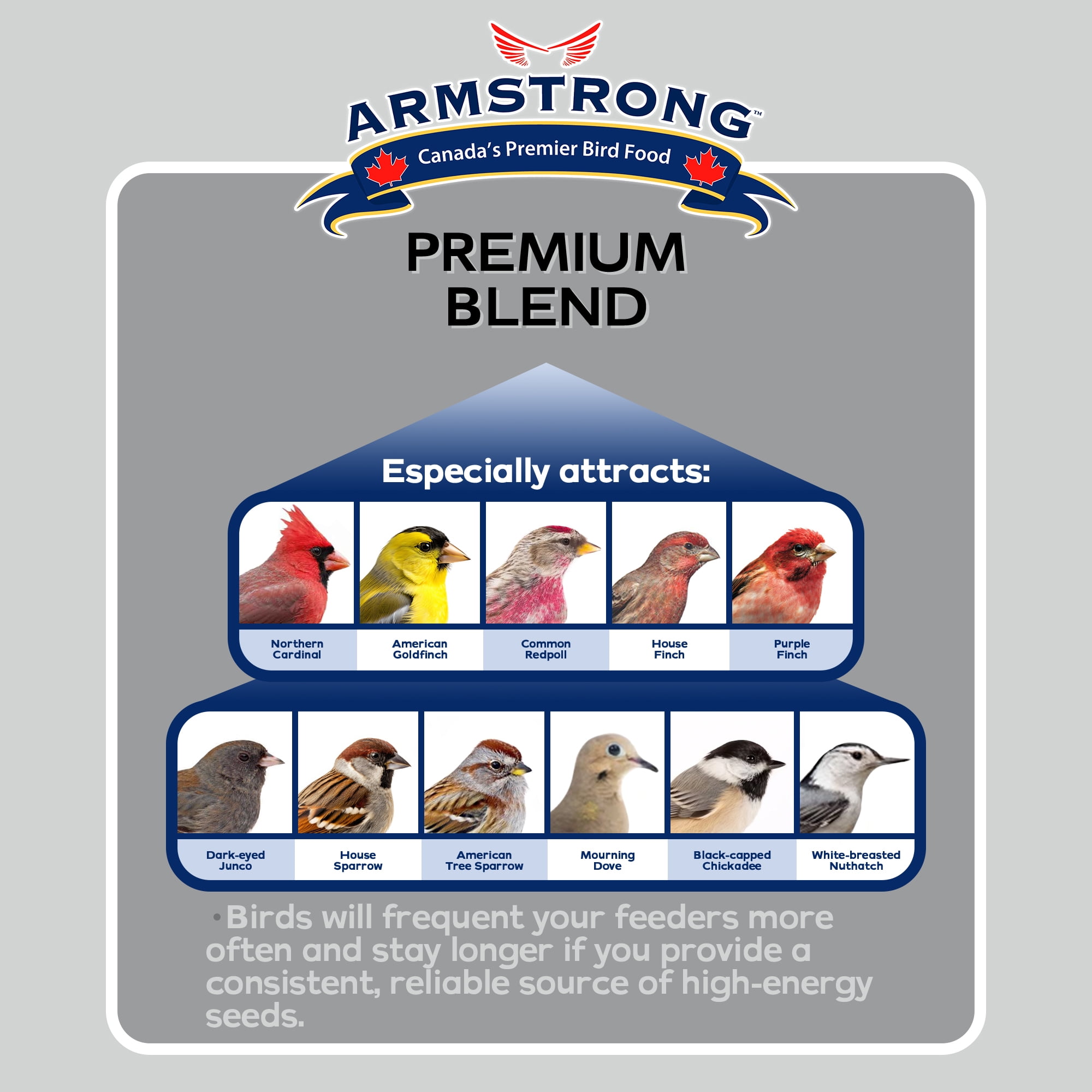 Armstrong Wild Bird Food Premium Bird Seed Blend, 30.8lbs