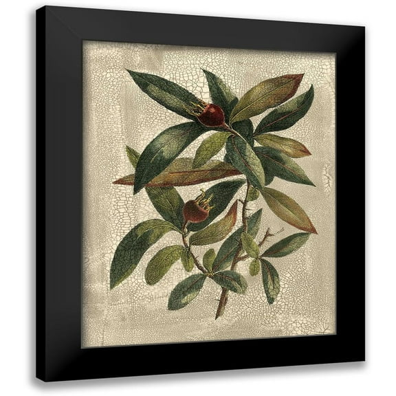 Deshayes, Gerard Paul 12x14 Black Modern Framed Museum Art Print Titled - Deshayes Tree III