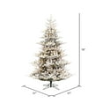 thumbnail image 3 of Vickerman 6.5' x 57" Flocked Hudson Fraser Fir Artificial Christmas Tree, LED Warm White Lights, 3 of 6