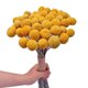 thumbnail image 1 of Manojo de Ramo de Bolas Amarillas de Flores Secas Naturales, Manojo Real de Plantas Secas ReciéN Cosechadas, DecoracióN para El Hogar, 1 of 1