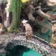 thumbnail image 4 of Figuras antiguas Zulema Escena personas figura Hombre Pescador Gris 1/64, 4 of 8