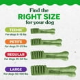 thumbnail image 6 of Greenies Original Flavor Adult Natural Dental Dog Treats Petite Size, 6 oz Pack (10 Count), 6 of 14