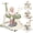 Bean Green, variant on 5 in 1 Baby Walker for Boys Girls,Foldable,Music,Light,Jumper,Rocking,Push,Height Adjustable Training Activity for Babies Infant 6-18 Months,Pink