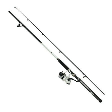 D-Wave Saltwater Spinning Combo (Best Rod And Reel For Saltwater Pier Fishing)