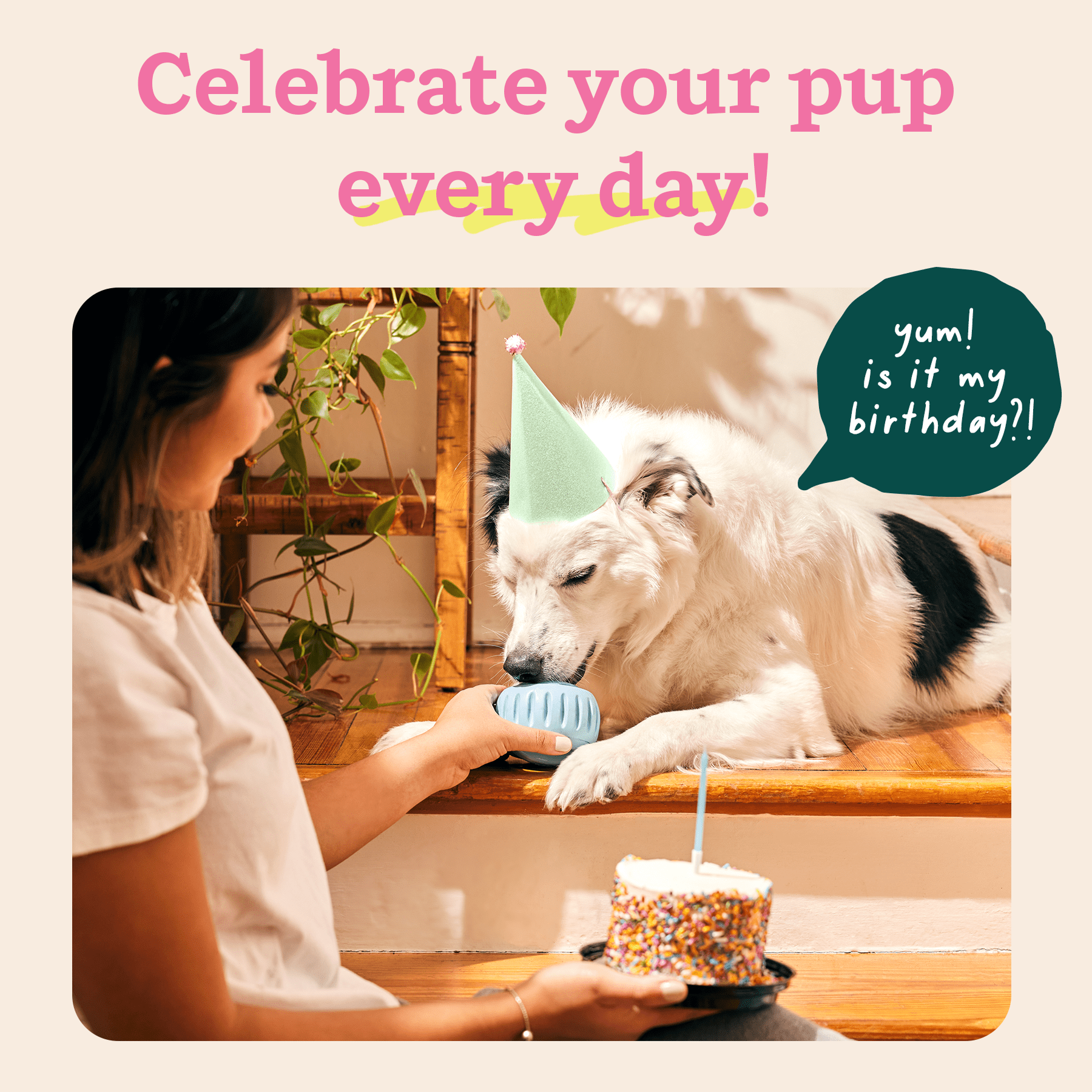 WOOF Party Pupsicle - Long-Lasting Interactive Dog Toys for Boredom - Low-Mess Design - Birthday Gift Idea - Large Dog Toys - Buddy Blue