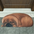 thumbnail image 5 of Aihimol Non Slip Cute Pet Dog Themed Carpet,Welcome Floor Doormat Non Slip Floor Mat Summer Holiday Funny Novelty Door Mats for indoor Outdoor Holiday Decoration 34.25x15.74in, 5 of 7