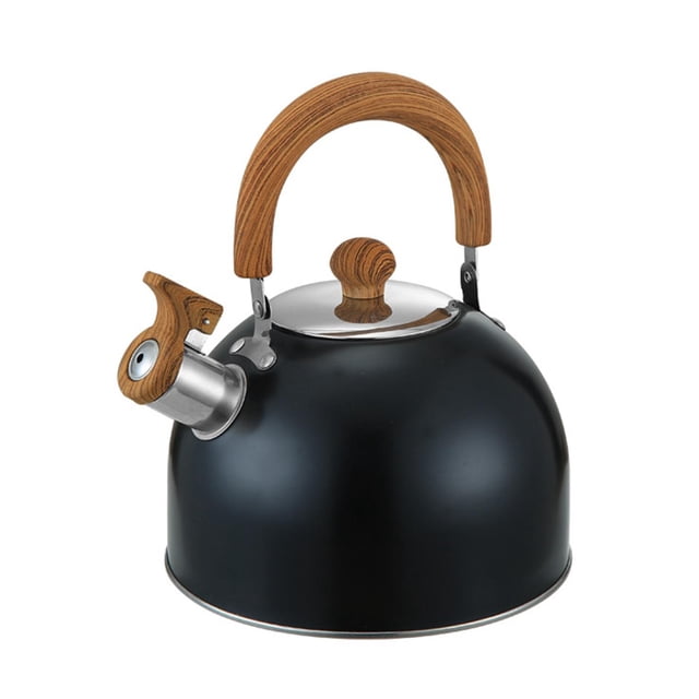 Lipstore Whistling Kettle Electric Induction Cooker Kettle for Camping Fishing Indoor 2L