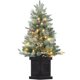 thumbnail image 1 of 3-ft prelit premium snow-flocked artificial christmas tree con 8-mode warm blanca LED lights - ideal para para christmas decor in yard, home, oficina, indoor, y outdoor, 1 of 7