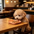 thumbnail image 6 of NWQKYZGH 1PCS Square Pet Food Plates Shallow Wide Design Easy To Clean Snack Feeding Bowl for Dry Food Wet Food Treats for Small Mediums and s -5.71x5.71in, 6 of 6