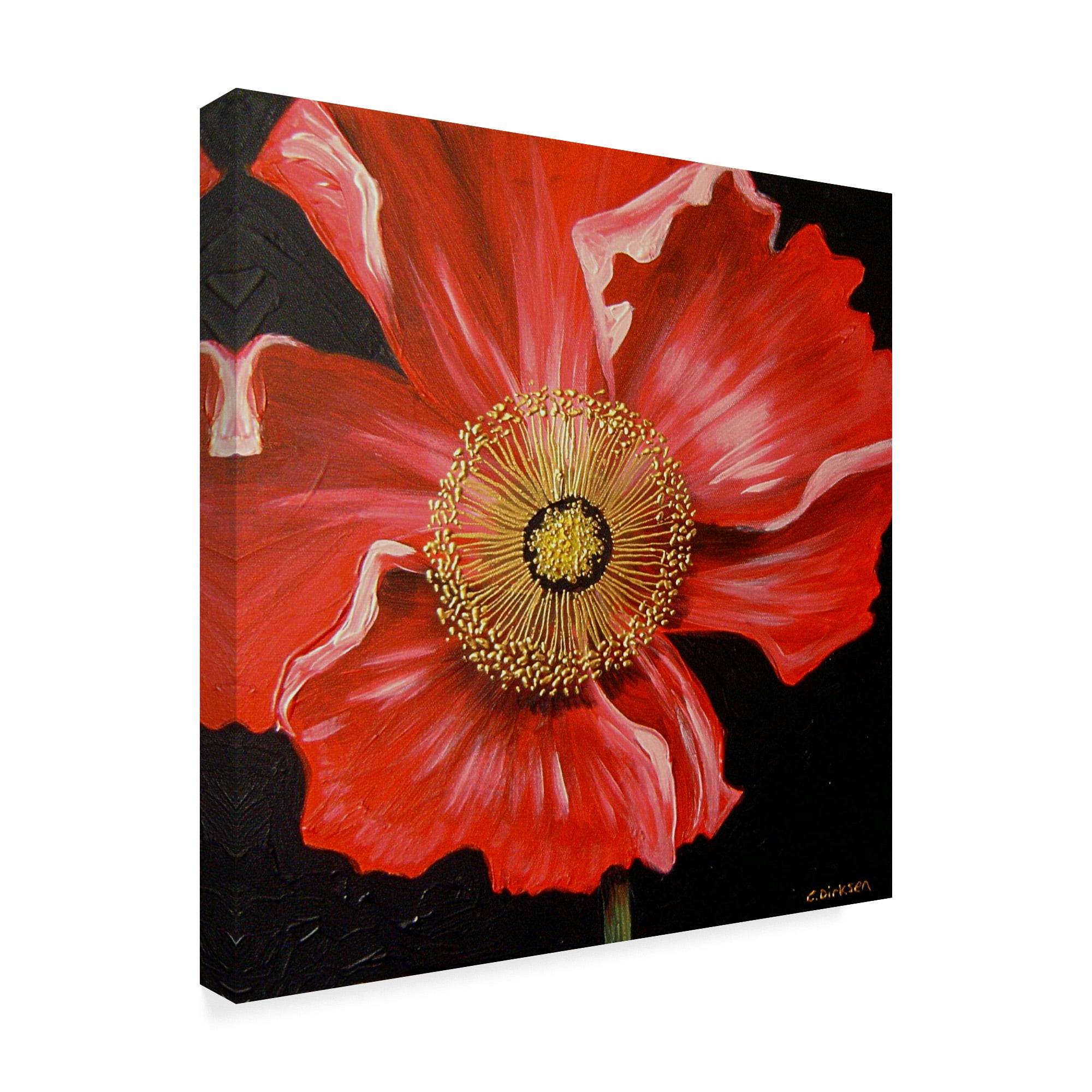 Trademark Fine Art 'Red Poppy Over Black' Canvas Art by Cherie Roe Dirksen