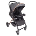 thumbnail image 3 of Carriola Prinsel Reversible Spark Dorado con negro, 3 of 7