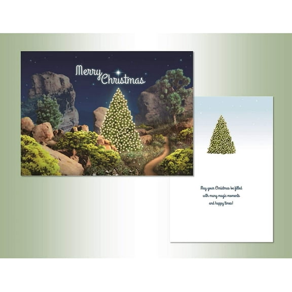 LPG Greetings Evergreen with Lights in Desert Box of 18 Warm Weather Christmas Cards