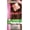 98 Burgundy, variant on Marion Gray Hair Color Shampoo Hair Dye Kit with Aloe and Keratin (2 Pack)
