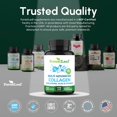 thumbnail image 4 of Forest Leaf Collagen Pills Collagen Peptides with Hyaluronic Acid & Vitamin C, 120-Count, 4 of 11