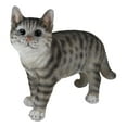 thumbnail image 3 of Standing Feline Gray Tabby Cat Kitten Figurine With Realistic Glass Eyes Decor, 3 of 9