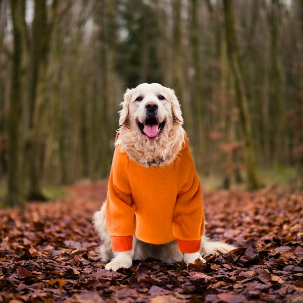 Abrigo Para Perros Vaqueros Con Capucha, Ropa Para... - Grandado