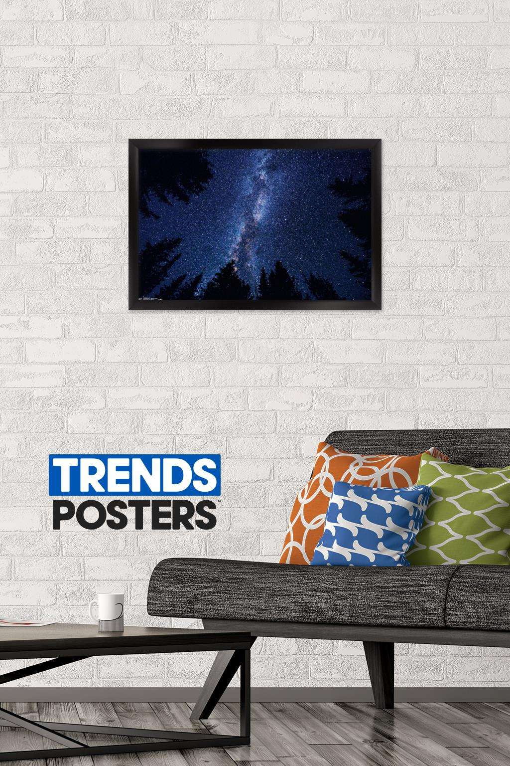 Milky Way At Night Wall Poster, 14.725" x 22.375", Framed