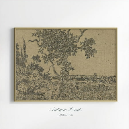 Landscape Sketch Art, Neutral Antique Forest Drawing, Vintage Cottage Textile Art, Botanical Farmhouse Decor,, Stretched Canvas Size 16x24