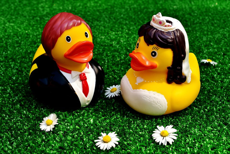 Framed Art For Your Wall Funny Bride And Groom Rubber Ducks Marry