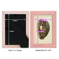thumbnail image 4 of Sealife Collection III - Framed Print w/glass - Sunset Pink, 4 of 8