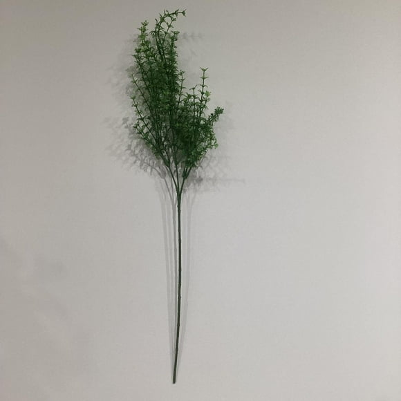 Parsley Spray