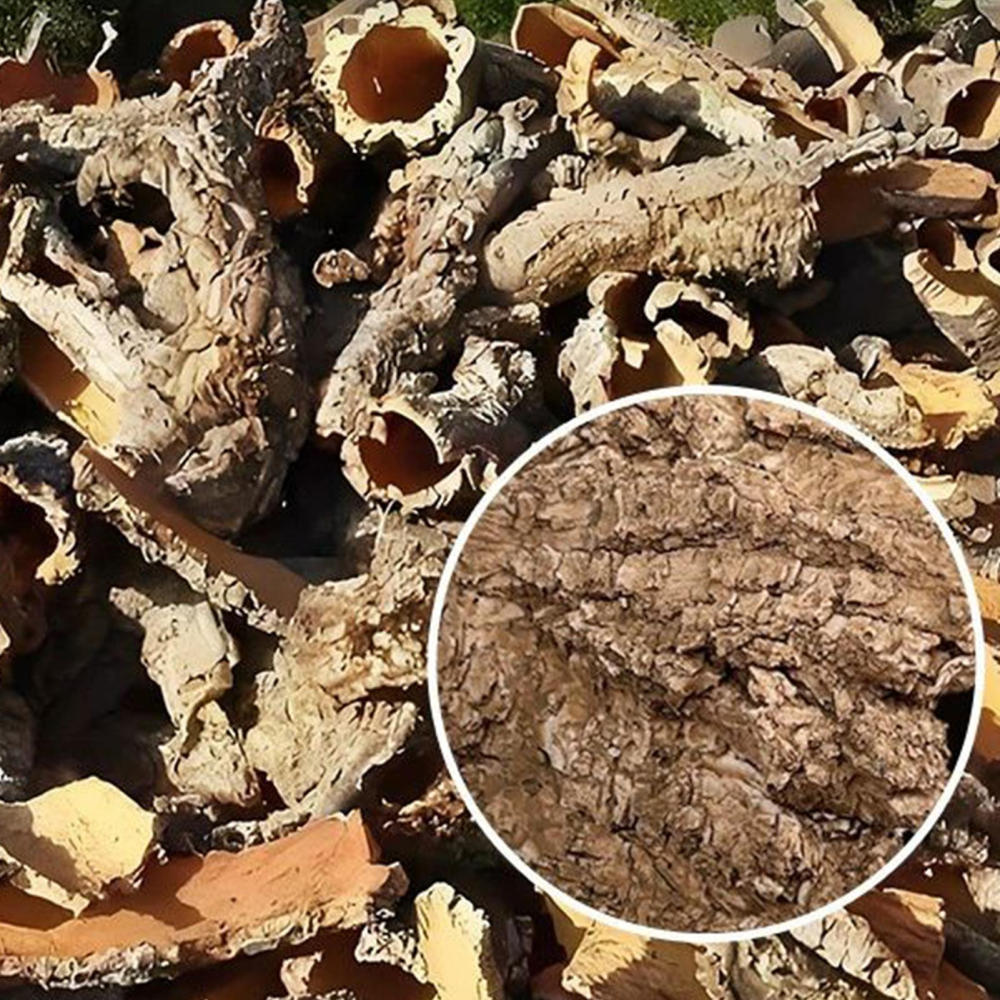 Ksruee Toad House Resin Cave Shelter Tortoise Shelter for Bearded Dragon Leopard Turtle Frog Geckos Reptiles Amphibians Aquarium Tank everybody