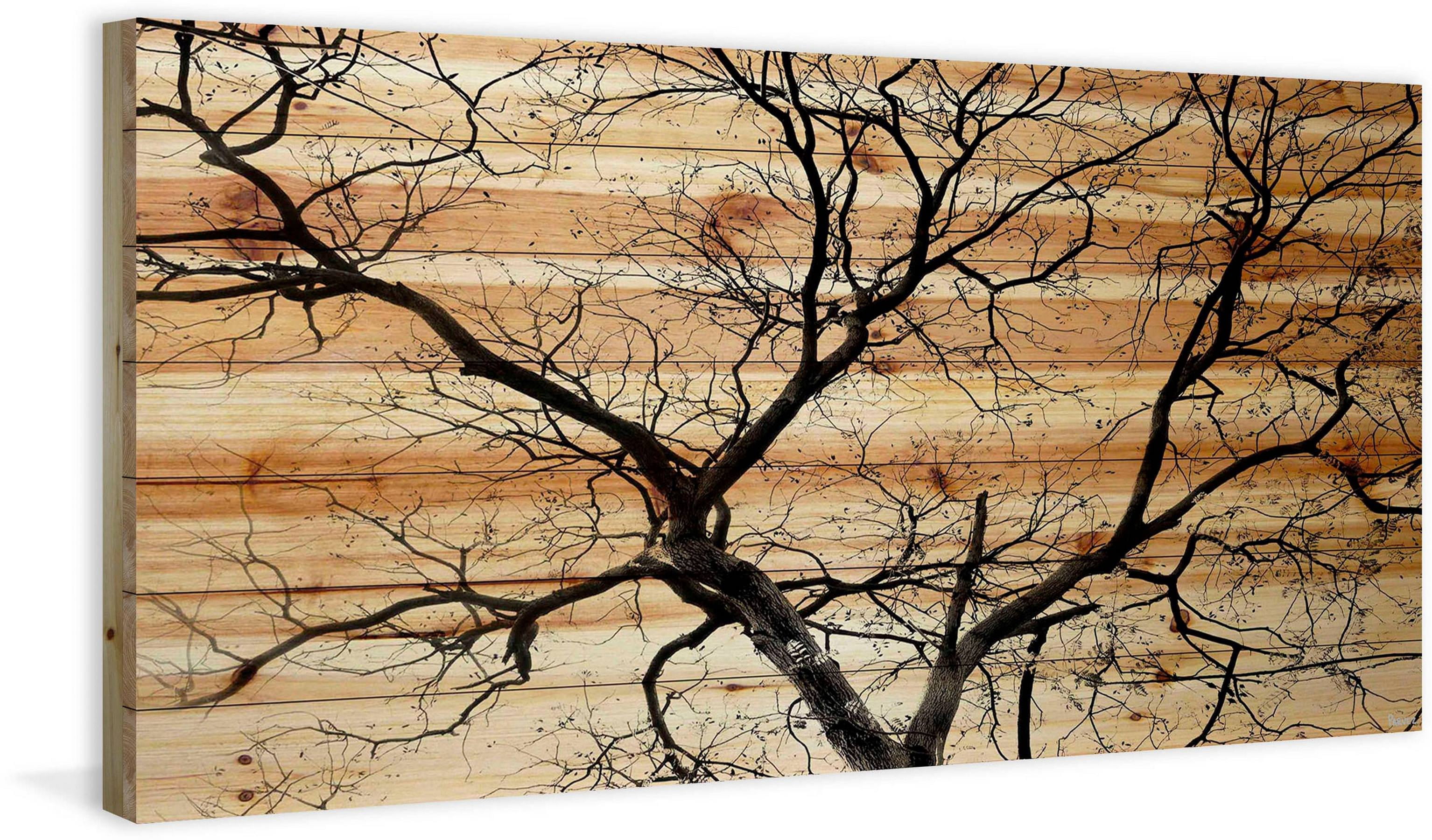 Parvez Taj Branching Out Pinewood Wall Art