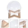 thumbnail image 3 of Miangastore Chinchilla Dust Glass Planter Transparent For Home Decor Indoor Decoration 1 Set, 3 of 8