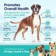 thumbnail image 2 of NuLife Natural Pet Health Pure Wild Alaskan Salmon Oil for Dogs, Omega 3 Fish Oil Supplement for Healthy Skin & Shiny Coat, Prevents Itchy Skin, Skin Allergies & Shedding, 120 Soft Capsules, 2 of 10