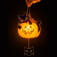 thumbnail image 5 of Tuvgenk Battery garden lights outdoor Cat, Pumpkin Landscape Light LED Plastic Multicolor, 5 of 7