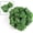Grapes, variant on 100/2M Artificial Green Ivy Vine Garland Fake Leaf Plants Rattan Hanging Creeper Garlands for Garden Wedding Party Wall Decors