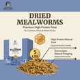 thumbnail image 4 of Premium Poultry Dried Mealworms & Black Soldier Fly Larvae 4-Pack Chicken Treat, 4 of 20