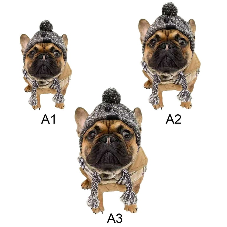 Firlar Pet Hats Pugs Big Dogs Cats Dogs Pet Supplies Autumn