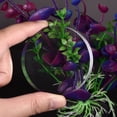 thumbnail image 4 of Unique Bargains 1.2 Inches x 3.1 Inches Clear Acrylic Solid Cylinder Round Display Riser, 4 of 4